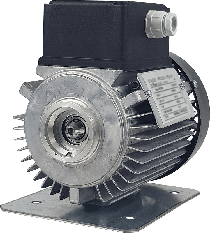 AC PSC Motor- 719