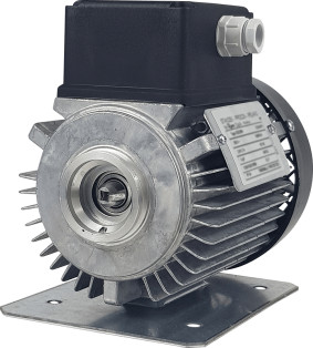 AC PSC Motor- 719