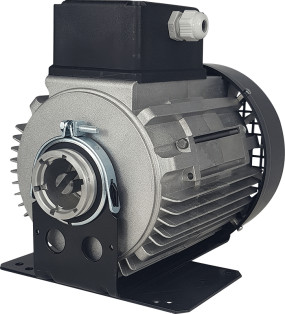 AC PSC Motor- 710