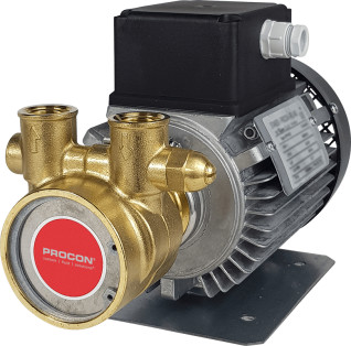 Rotary Vane Pump/Motor Assembly Series 4- 134A165F11GA717