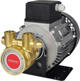 Rotary Vane Pump/Motor Assembly Series 4- 104A215F11BA712