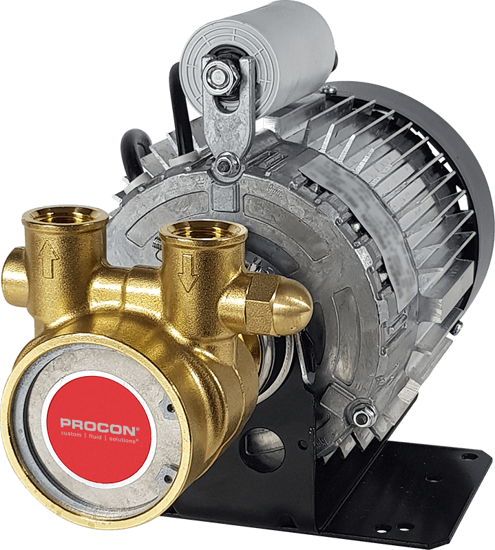 Rotary Vane Pump/Motor Assembly Series 4- 134B240F11BA709