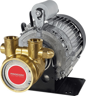 Rotary Vane Pump/Motor Assembly Series 4- 134B240F11BA709