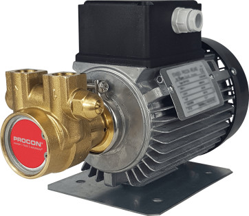 Rotary Vane Pump/Motor Assembly Series 2- 10BB080F126A717