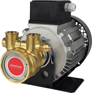 Rotary Vane Pump/Motor Assembly Series 4- 104A165F11FA749