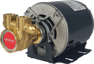 Rotary Vane Pump/Motor Assembly Series 2- 1T2A100F116A828