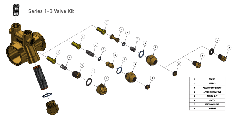 Series 2 Valve Repair Kit- 1P2AXXXFXXCB