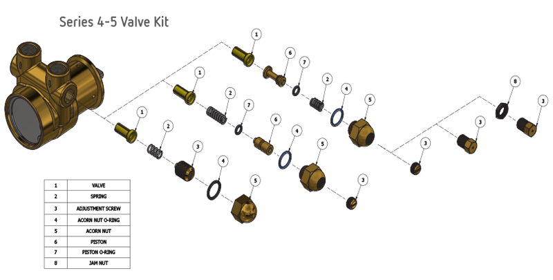Series 4 Valve Repair Kit- 1P4XXXXFXXBA