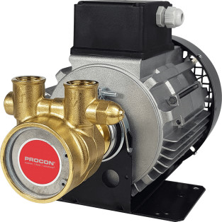 Rotary Vane Pump/Motor Assembly Series 4- 104A330F11GC712