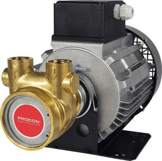 Rotary Vane Pump/Motor Assembly Series 4- 104A330F11XX712
